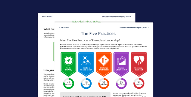 Sample LPI Self Empowered report.