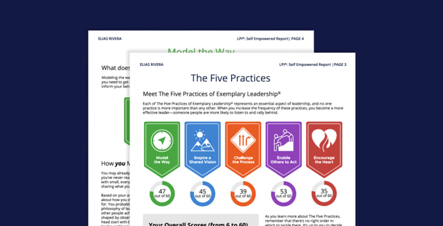 Sample LPI Self Empowered report.