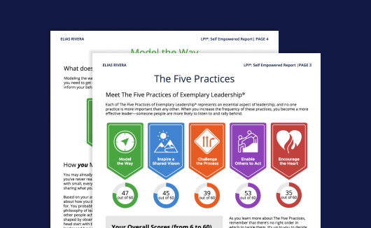 Sample LPI Self Empowered report.